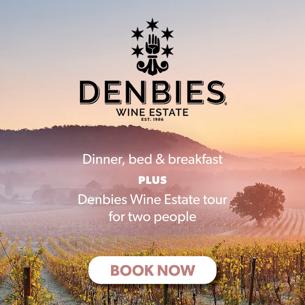 Denbies Vineyard 'book now' promotion